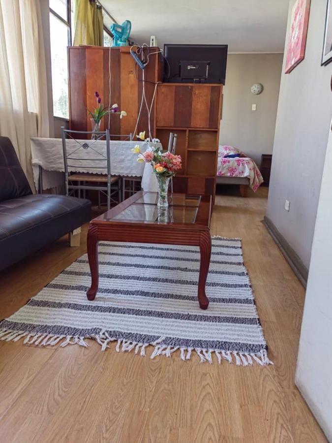 Departamento Plaza Parroquia Quinta Vergara Vina del Mar Eksteriør bilde