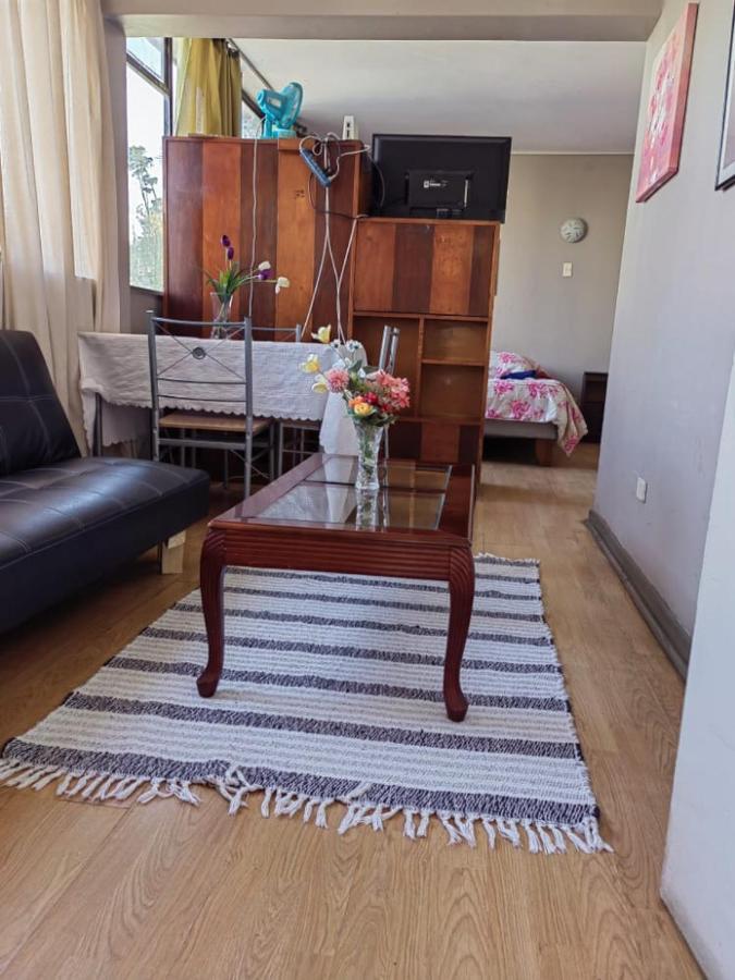 Departamento Plaza Parroquia Quinta Vergara Vina del Mar Eksteriør bilde